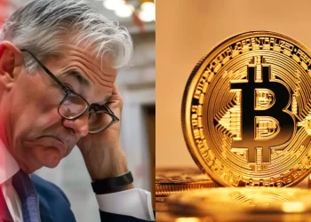 Bitcoin Fed