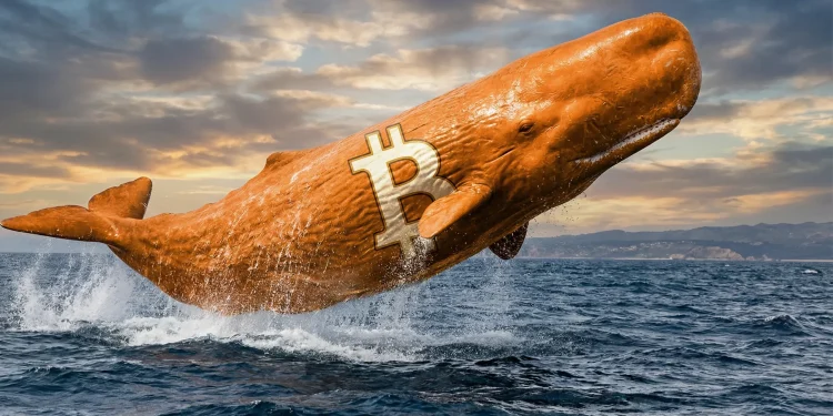 Bitcoin veľryba