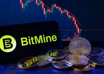 BitMine Ethereum Pokles