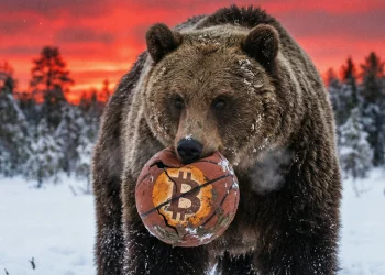 Bitcoin medveď