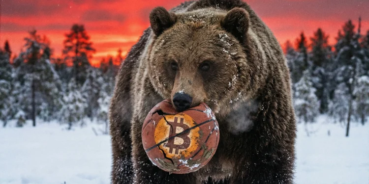 Bitcoin medveď