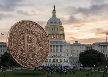 Bitcoin Zakon USA