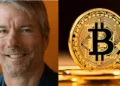 Michael Saylor a Bitcoin, Microstrategy