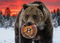 Bitcoin medveď